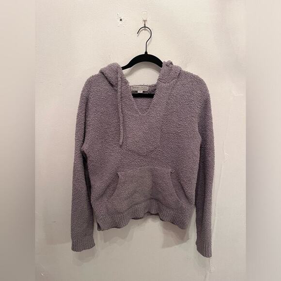 Barefoot Dreams Cozychic Teddy Pullover Hoodie Size Small Unisex - Picture 1 of 3